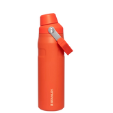 Garrafa Térmica Aerolight Fast Flow Tigerlily | 710ML